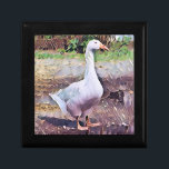 GEESE CADEAUDOOSJE<br><div class="desc">Een kunstontwerp van een gedomesticeerde gans.</div>