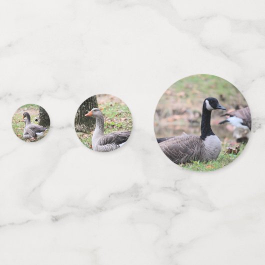 Geese Confetti (Voorkanten)