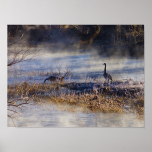 Geese die een Poster van de Break neemt