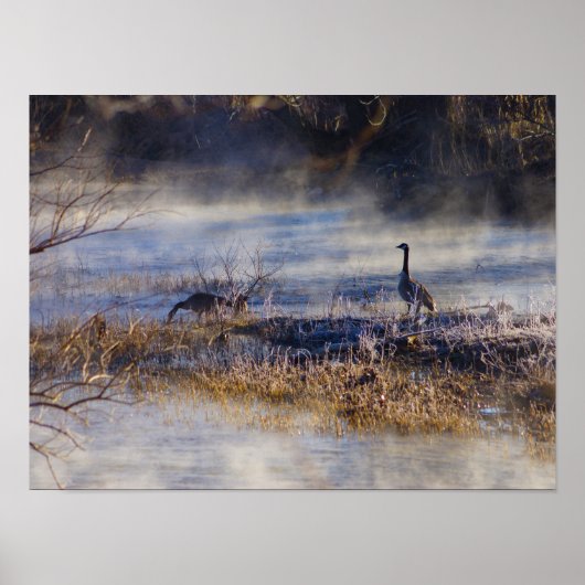 Geese die een Poster van de Break neemt (Voorkant)