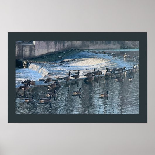 Geese door Waterfall Foto Poster (Voorkant)