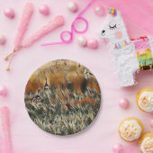 Geese en Duck Roam Art Papieren Bordje (Feest)