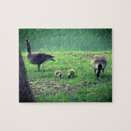 Geese en Goslings die de zelfzorg versoepelen Legpuzzel