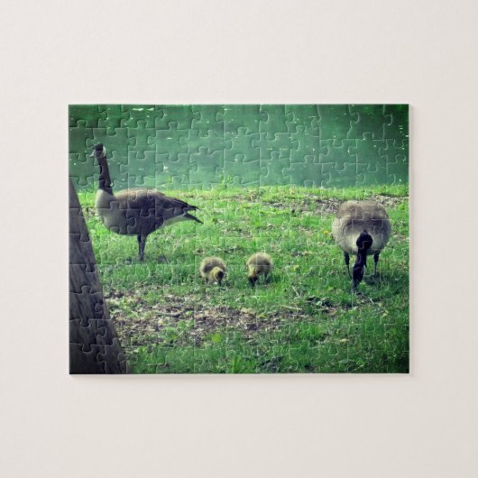 Geese en Goslings die de zelfzorg versoepelen Legpuzzel (Horizontaal)