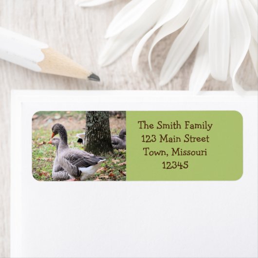 Geese Etiket (Insitu)