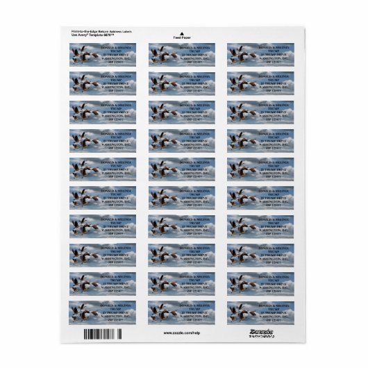 GEESE ETIKET (Full Sheet)