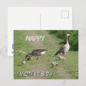 Geese Family Happy Moederdag Briefkaart (Voorkant / Achterkant)