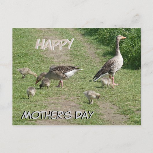 Geese Family Happy Moederdag Briefkaart (Voorkant)