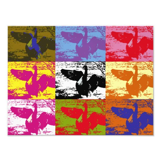 GEESE FOTO AFDRUK (Voorkant)