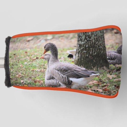 Geese Golfheadcover (Voorkant)