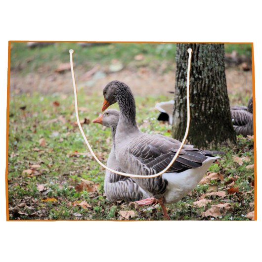 Geese Groot Cadeauzakje (Achterkant)