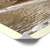  Geese in Icy Creek Poster (Hoek)