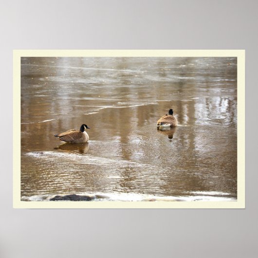  Geese in Icy Creek Poster (Voorkant)