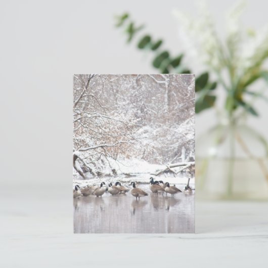 Geese in sneeuw briefkaart (Staand voorkant)