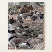 Geese in the Park Planner (Achterkant)