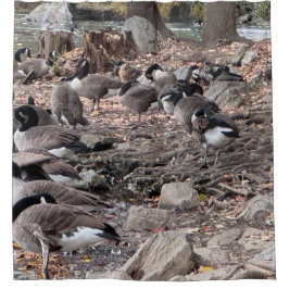 Geese in the Park Shower Curtain Douchegordijn