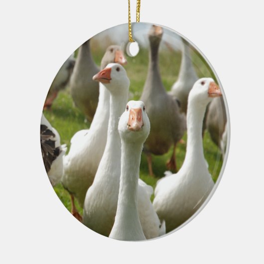 Geese Keramisch Ornament (Links)