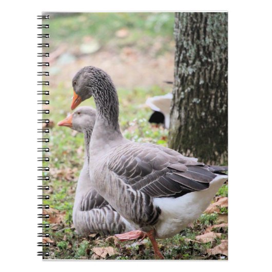 Geese Notitieboek (Voorkant)