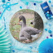 Geese Papieren Bordje (Feest)