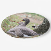Geese Papieren Bordje (Gekanteld)