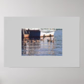 Geese Poster (Voorkant)