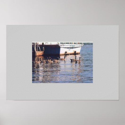 Geese Poster (Voorkant)