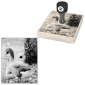 Geese Rubberstempel (Gestempeld)