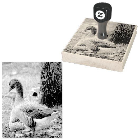 Geese Rubberstempel (Gestempeld)