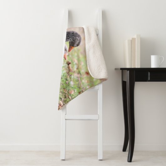 Geese Sherpa Deken (In situ)