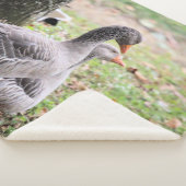 Geese Sherpa Deken (3/4)