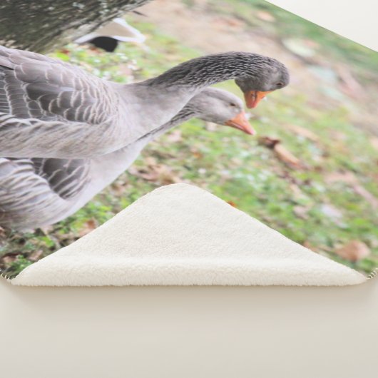 Geese Sherpa Deken (3/4)