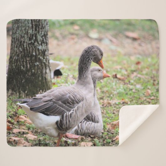 Geese Sherpa Deken (Voorkant (horizontaal))