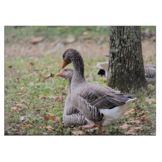 Geese Snijplank (Voorkant)