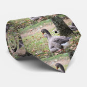 Geese Stropdas (Opgerold)