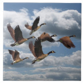 GEESE TEGELTJE (Voorkant)