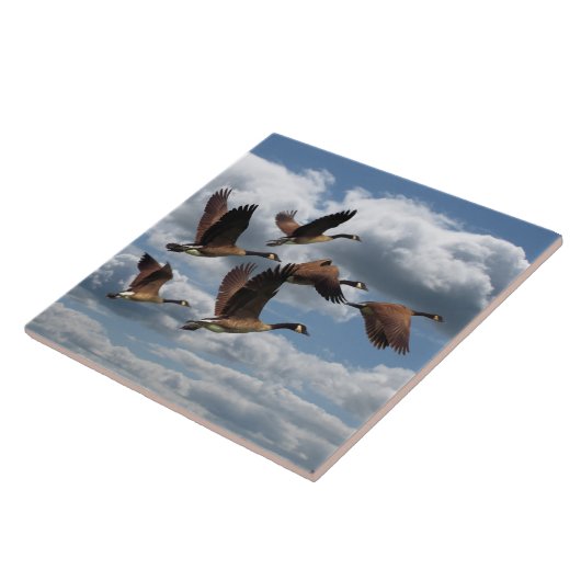 GEESE TEGELTJE (Zijkant)