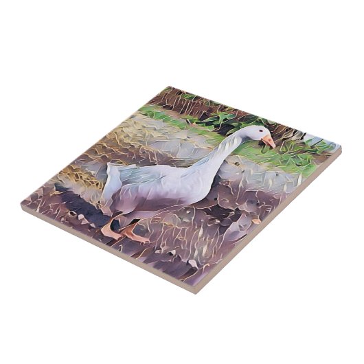 GEESE TEGELTJE (Zijkant)