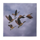 GEESE TEGELTJE (Voorkant)