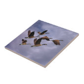 GEESE TEGELTJE (Zijkant)