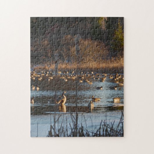 GEESE VERVROUWEN. Legpuzzel van 28 x 35,5 cm met c (Verticaal)