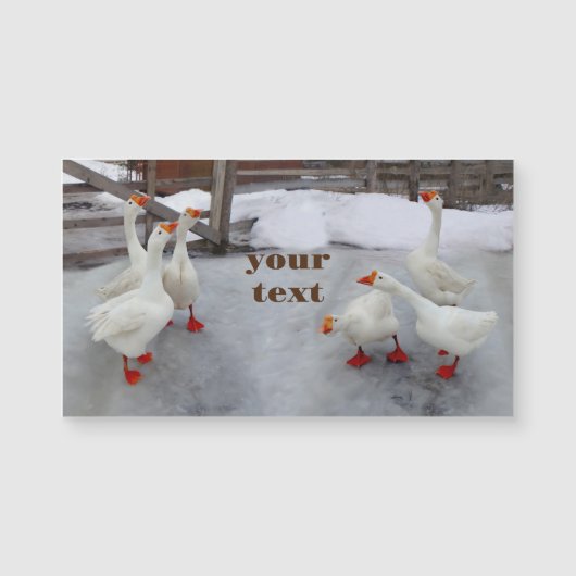 Geese wit (Voorkant)