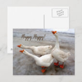 Geese wit briefkaart (Voorkant / Achterkant)