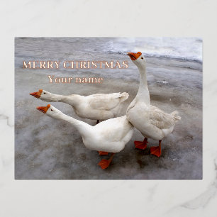 Geese wit folie feestdagen briefkaart