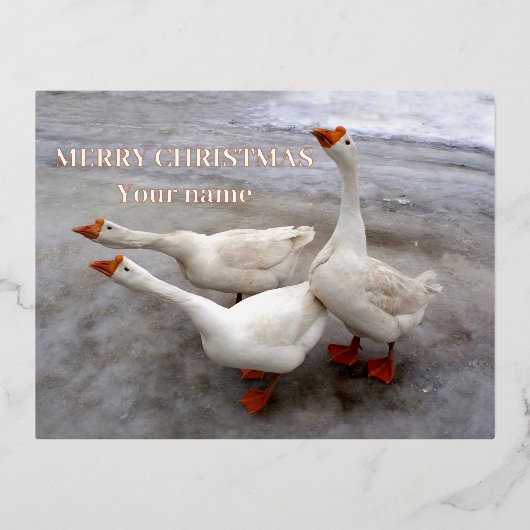 Geese wit folie feestdagen briefkaart (Voorkant)