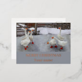Geese wit folie feestdagen briefkaart (Voorkant / Achterkant)