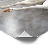 Geese wit foto afdruk (Hoek)