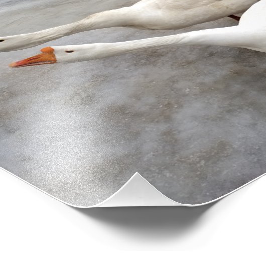 Geese wit foto afdruk (Hoek)