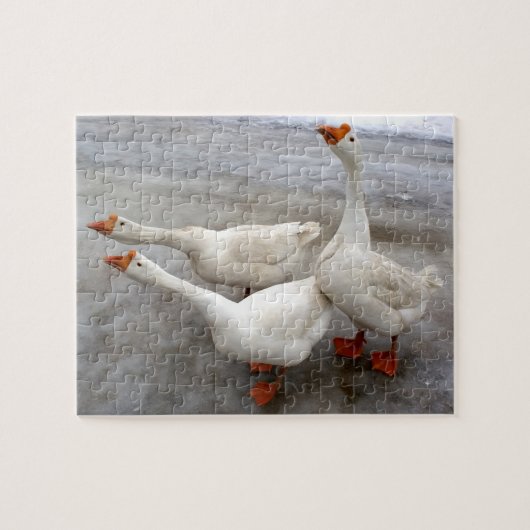 Geese wit legpuzzel (Horizontaal)