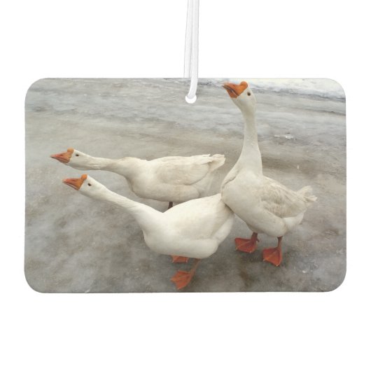 Geese wit luchtverfrisser (Achterkant)