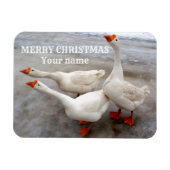 Geese wit magneet (Horizontaal)